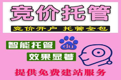 SEM代运营机构案例分析：优化策略详解